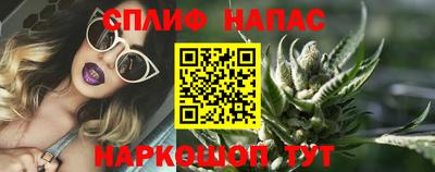 прущие грибы Нальчик