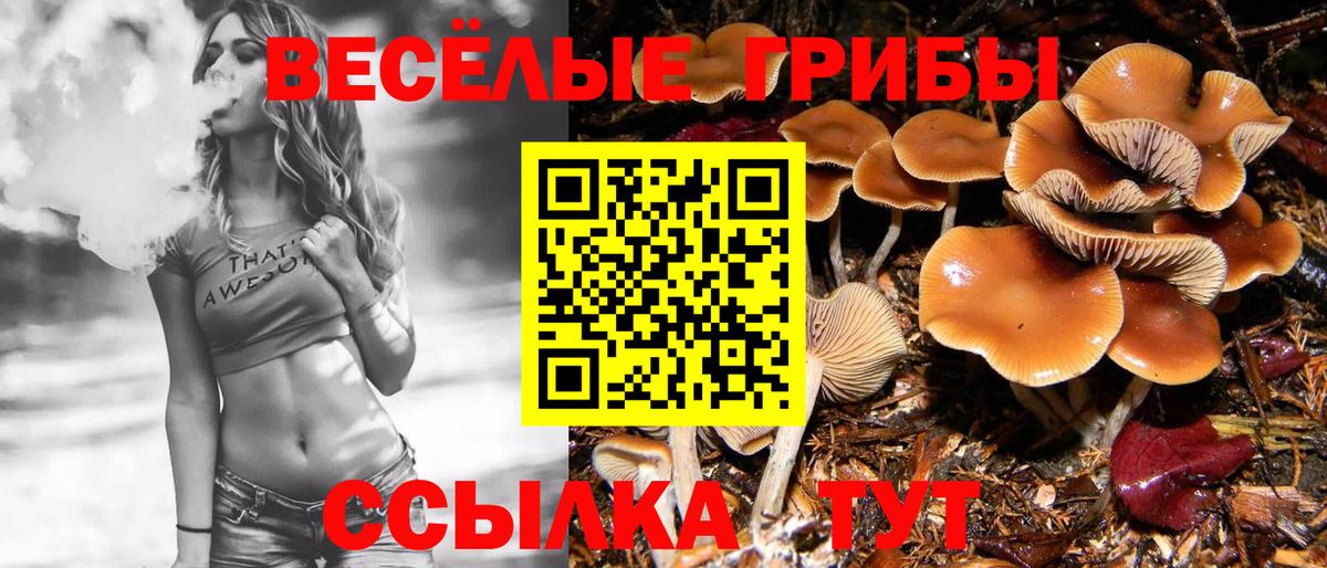 Тулун  Галлюциногенные грибы Magic Shrooms  Галлюциногенные грибы ЛСД  Вход с VPN 