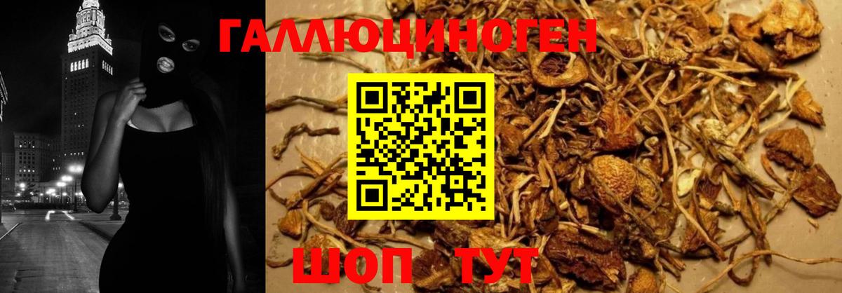 Псилоцибиновые грибы Magic Shrooms Тулун